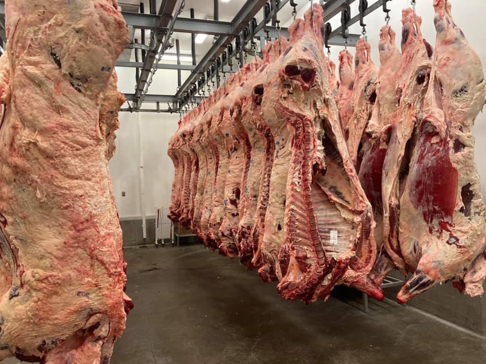 Hanging weight of beef