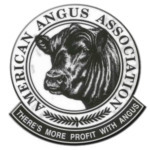 REGISTERED AMERICAN ANGUS FOR SALE