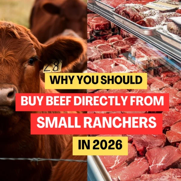 Where to Buy Beef Direct from Small Ranchers in 2026